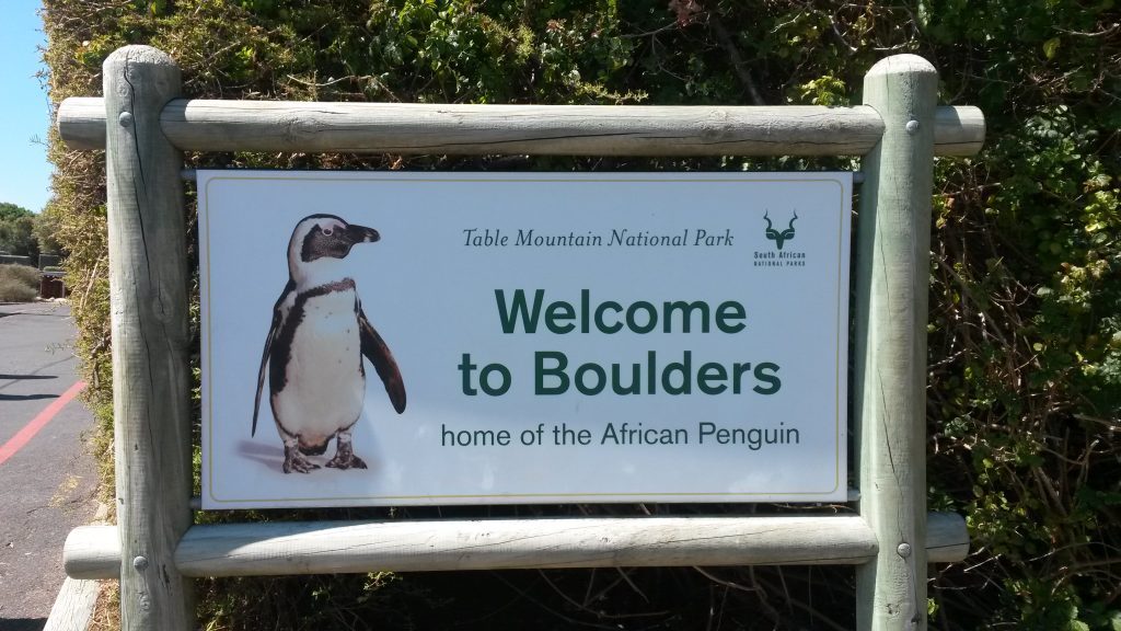 Boulders Beach