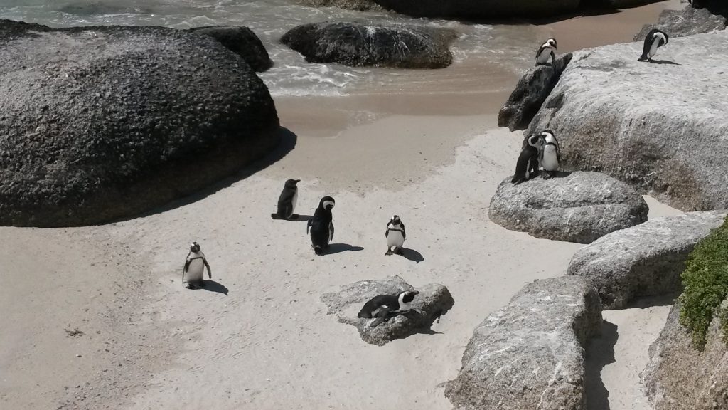 Boulders Beach