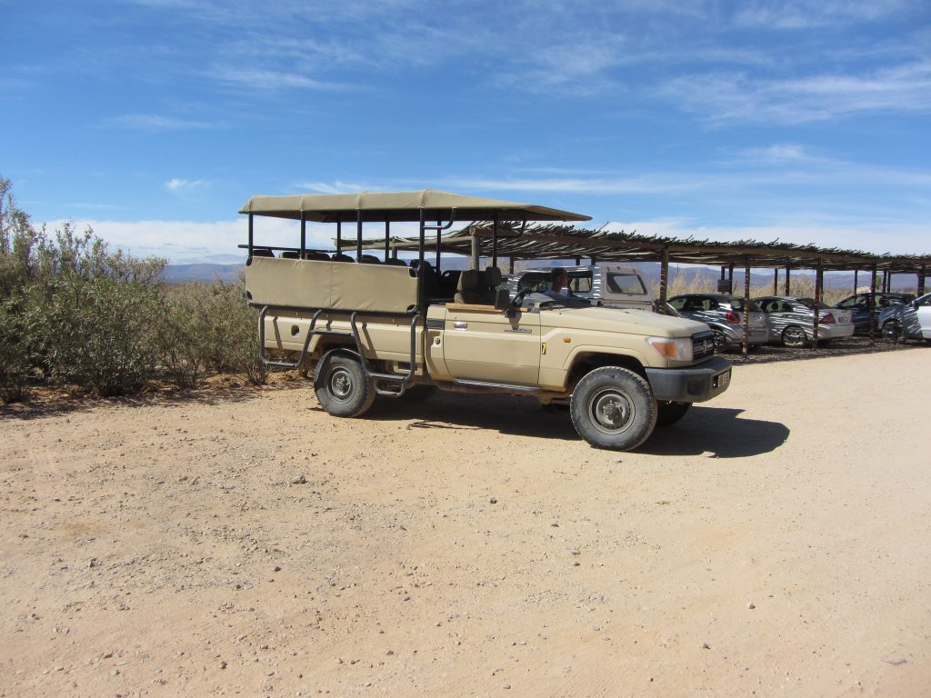 Inverdoorn safari