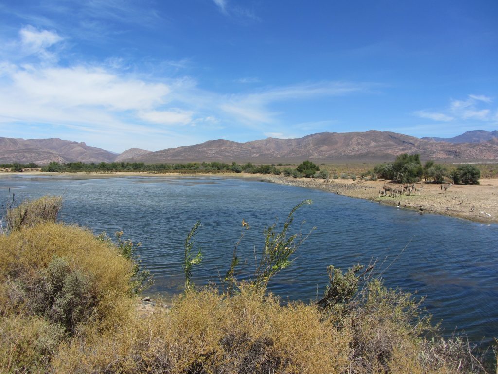 Inverdoorn safari