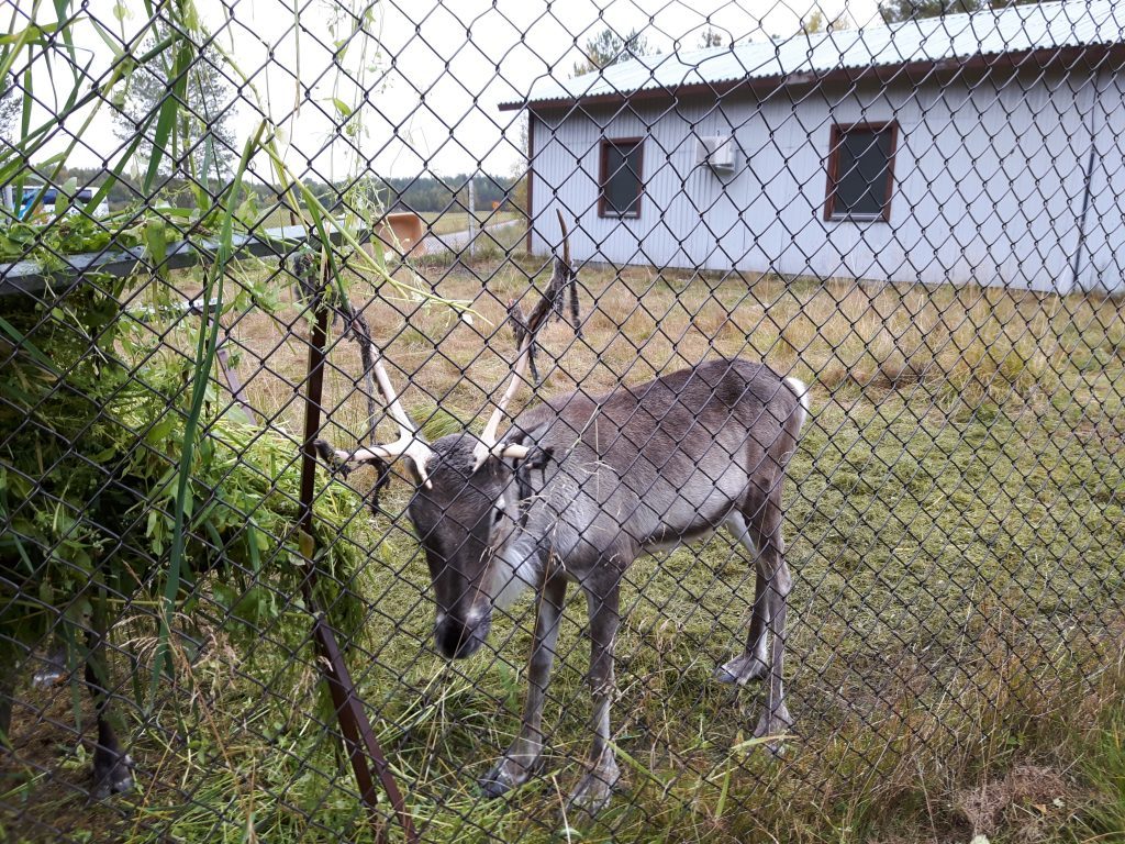 Kuusamon Suurpetokeskus